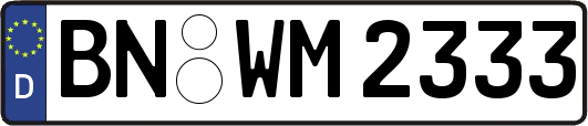 BN-WM2333