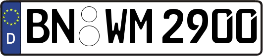 BN-WM2900