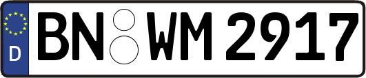 BN-WM2917