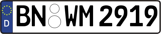 BN-WM2919