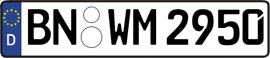 BN-WM2950