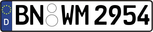 BN-WM2954