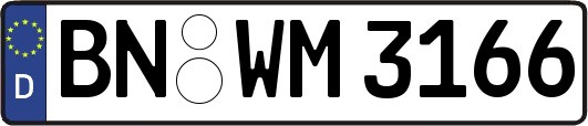 BN-WM3166