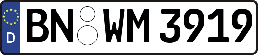 BN-WM3919