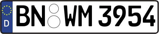 BN-WM3954