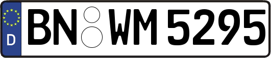 BN-WM5295