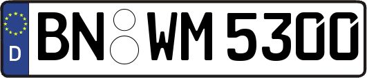 BN-WM5300