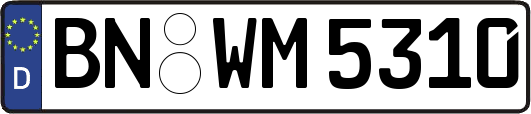 BN-WM5310