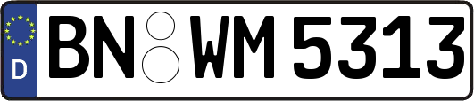 BN-WM5313
