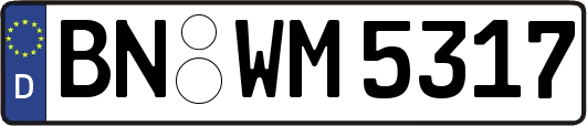 BN-WM5317