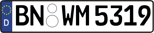 BN-WM5319