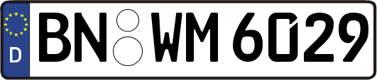 BN-WM6029