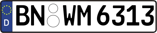 BN-WM6313