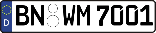 BN-WM7001
