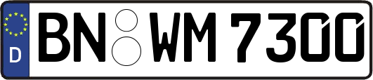 BN-WM7300
