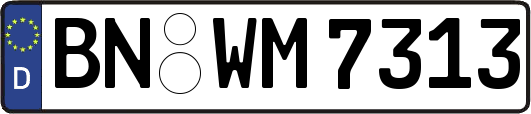 BN-WM7313