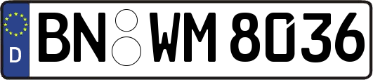 BN-WM8036