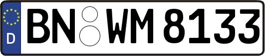 BN-WM8133