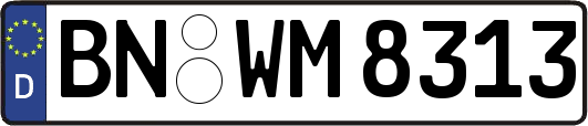 BN-WM8313