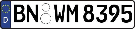 BN-WM8395