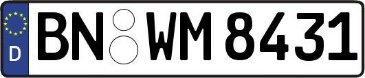 BN-WM8431