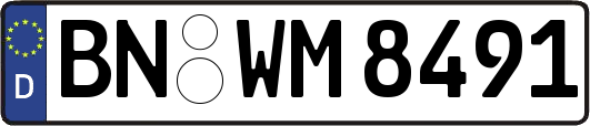BN-WM8491
