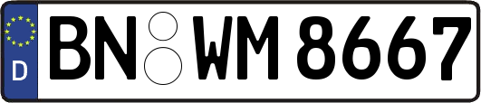BN-WM8667