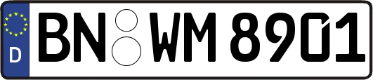 BN-WM8901