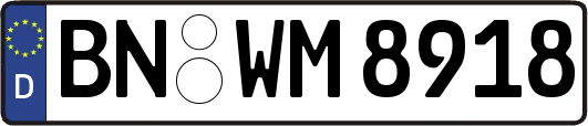 BN-WM8918