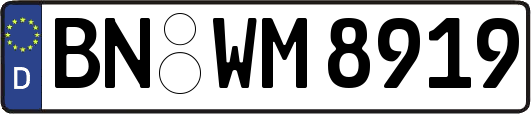 BN-WM8919