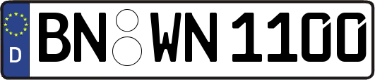 BN-WN1100