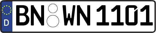 BN-WN1101