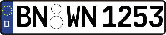 BN-WN1253