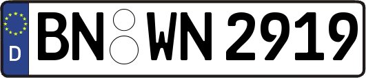 BN-WN2919