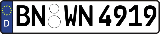 BN-WN4919