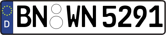 BN-WN5291