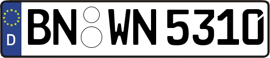 BN-WN5310