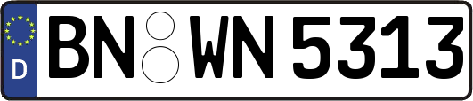 BN-WN5313