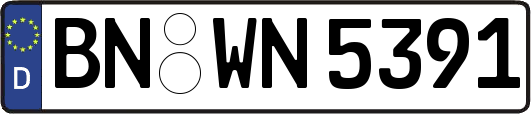 BN-WN5391