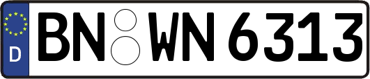BN-WN6313