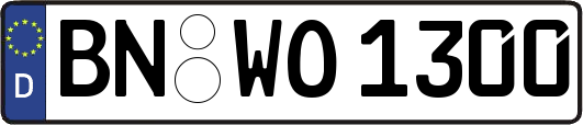BN-WO1300