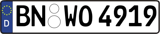 BN-WO4919