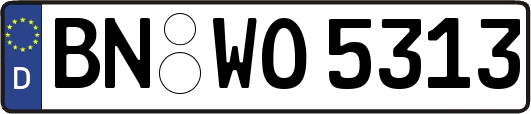 BN-WO5313