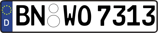 BN-WO7313