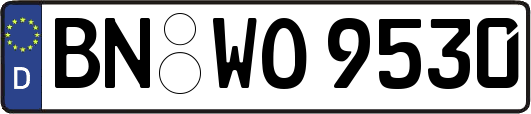 BN-WO9530