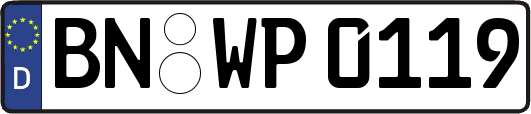 BN-WP0119