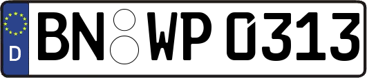BN-WP0313