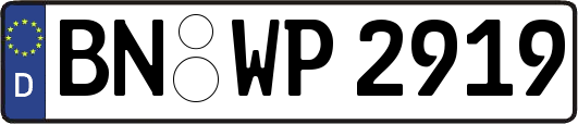 BN-WP2919
