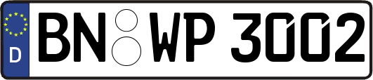 BN-WP3002