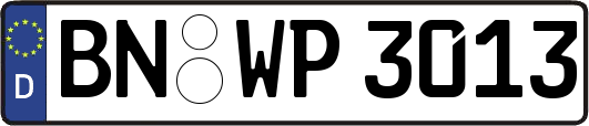 BN-WP3013